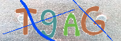 CAPTCHA 驗證圖片