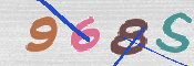CAPTCHA 驗證圖片