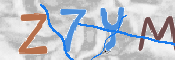 CAPTCHA 驗證圖片