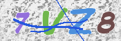 CAPTCHA 驗證圖片