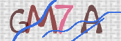 CAPTCHA 驗證圖片