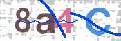 CAPTCHA 驗證圖片