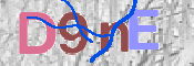 CAPTCHA 驗證圖片