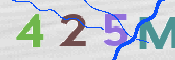 CAPTCHA 驗證圖片