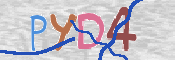 CAPTCHA 驗證圖片