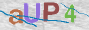 CAPTCHA 驗證圖片