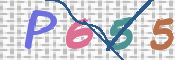 CAPTCHA 驗證圖片