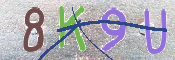 CAPTCHA 驗證圖片