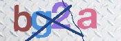 CAPTCHA 驗證圖片