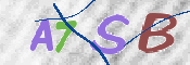 CAPTCHA 驗證圖片