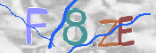 CAPTCHA 驗證圖片