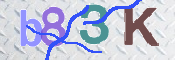 CAPTCHA 驗證圖片