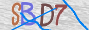 CAPTCHA 驗證圖片