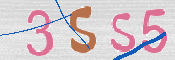 CAPTCHA 驗證圖片