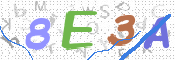 CAPTCHA 驗證圖片