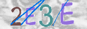 CAPTCHA 驗證圖片