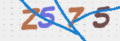 CAPTCHA 驗證圖片