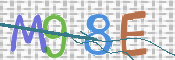 CAPTCHA 驗證圖片