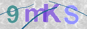 CAPTCHA 驗證圖片