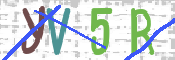 CAPTCHA 驗證圖片
