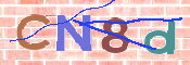 CAPTCHA 驗證圖片