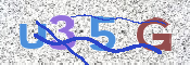CAPTCHA 驗證圖片