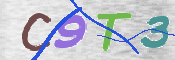 CAPTCHA 驗證圖片