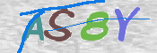 CAPTCHA 驗證圖片
