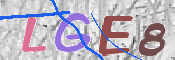 CAPTCHA 驗證圖片