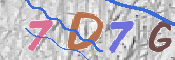 CAPTCHA 驗證圖片