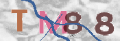 CAPTCHA 驗證圖片