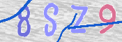CAPTCHA 驗證圖片