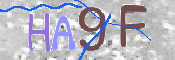 CAPTCHA 驗證圖片