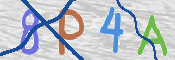 CAPTCHA 驗證圖片