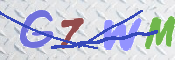 CAPTCHA 驗證圖片