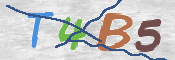 CAPTCHA 驗證圖片