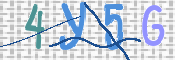 CAPTCHA 驗證圖片