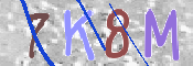 CAPTCHA 驗證圖片