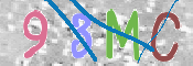 CAPTCHA 驗證圖片