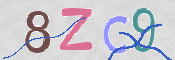 CAPTCHA 驗證圖片