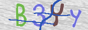 CAPTCHA 驗證圖片