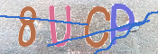 CAPTCHA 驗證圖片