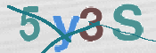CAPTCHA 驗證圖片
