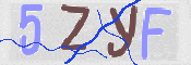 CAPTCHA 驗證圖片