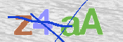 CAPTCHA 驗證圖片
