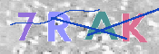 CAPTCHA 驗證圖片