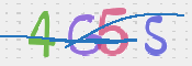 CAPTCHA 驗證圖片
