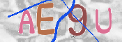 CAPTCHA 驗證圖片
