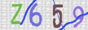 CAPTCHA 驗證圖片