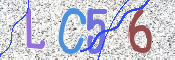 CAPTCHA 驗證圖片
